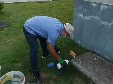 丹灶灭除红火蚁中心红火蚁对水利工程的危害