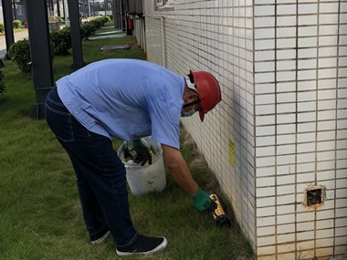 罗村专业灭鼠机构驱鼠器电子灭鼠器有用么