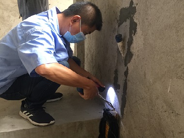 大沥预防白蚁站正确灭治白蚁侵害的方式是什么